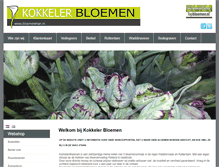 Tablet Screenshot of bloemenman.nl